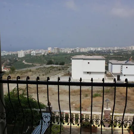 Goldcity فيلة *